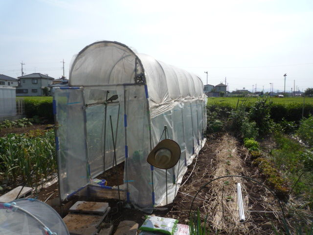 トマト雨よけハウスを改造した温室が昨日の暴風で倒壊しました Yamamurayujildのblog