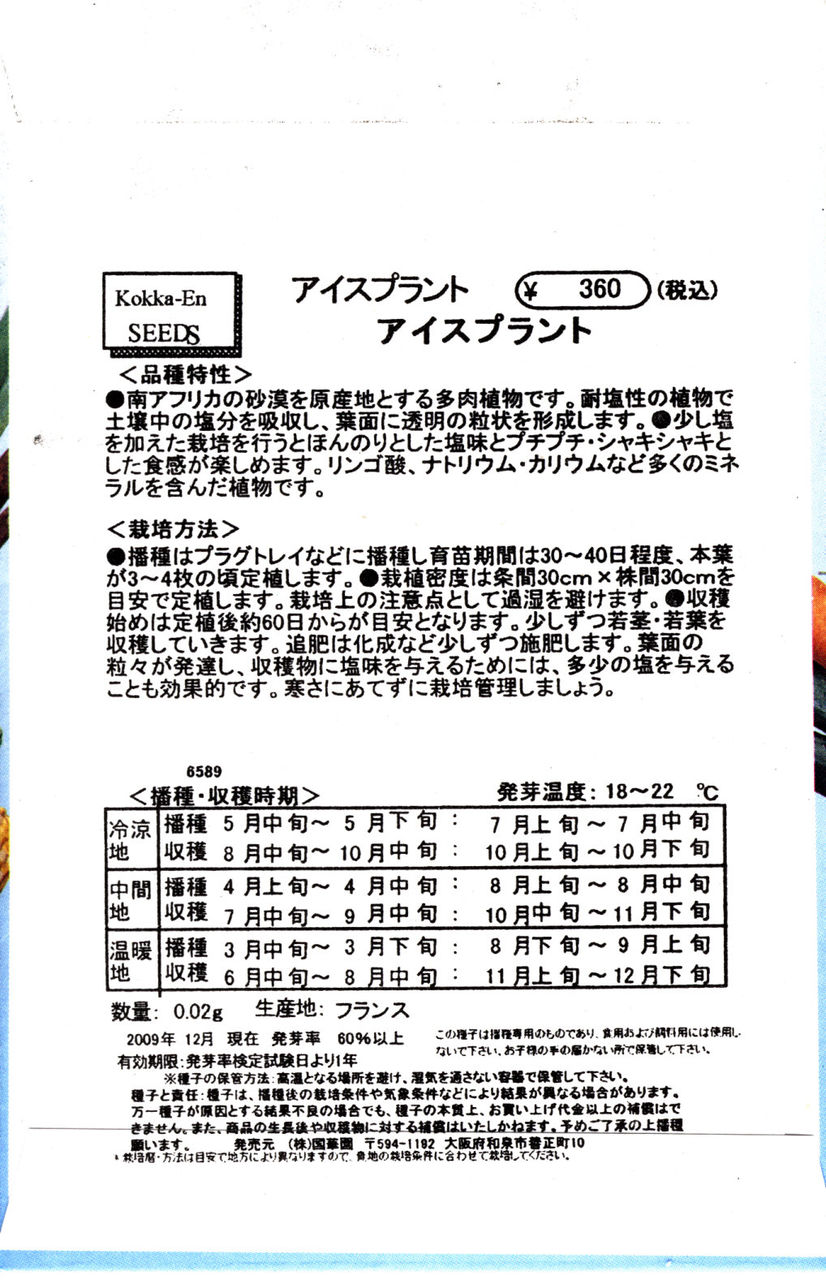不思議な新野菜 シオーナです 塩菜 アイスプラントと呼び名も色々 しょっぱい野菜です 今年新たに作る予定の１０種類の野菜の一つです Yamamurayujildのblog