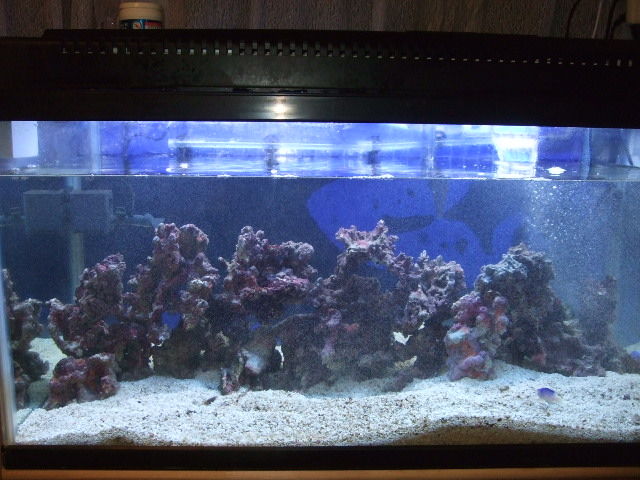 07年09月 Yamamurayujildのblog