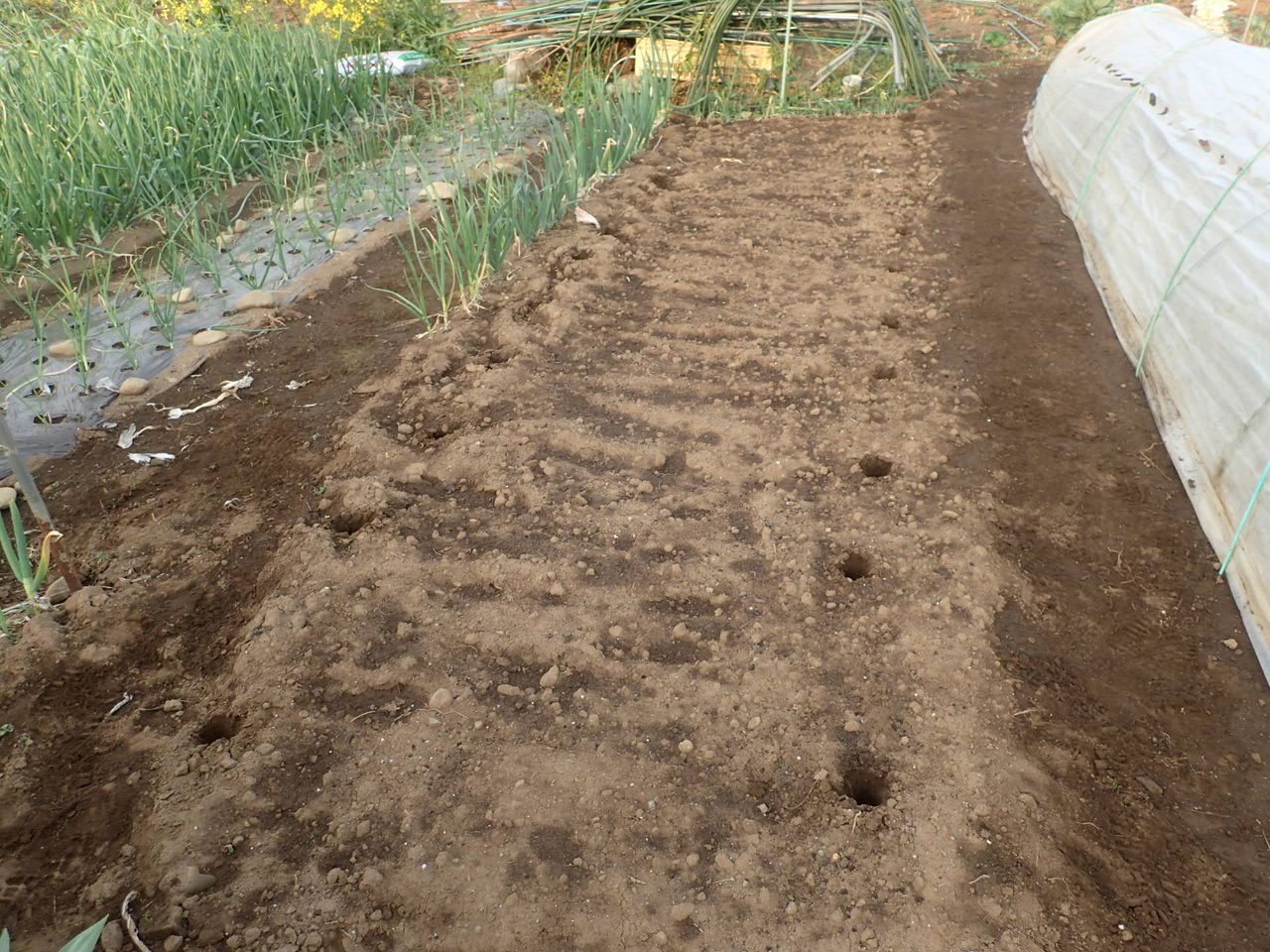 キュウリとゴーヤの支柱を立ててきました Yamamurayujildのblog