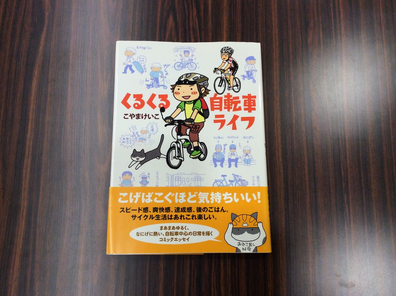 やまなみ街道サイクリング同好会 16年02月 やまなみ街道サイクリング同好会 16年02月