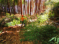 Dscn9890