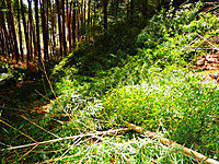 Dscn9909