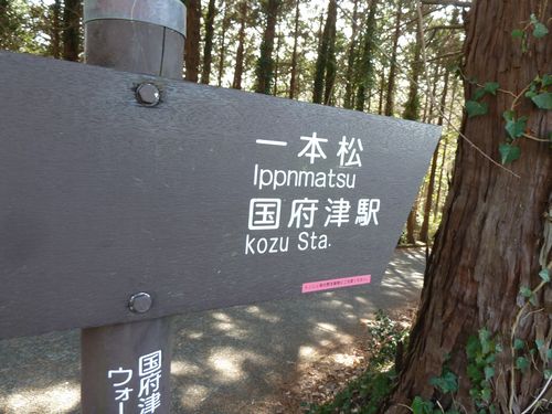 イメージ 14