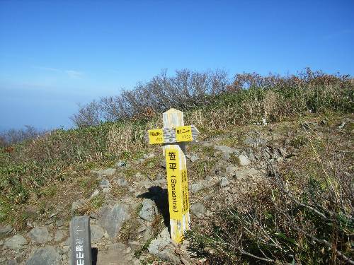 https://livedoor.blogimg.jp/yamane2019/imgs/0/5/05076d3e.jpg