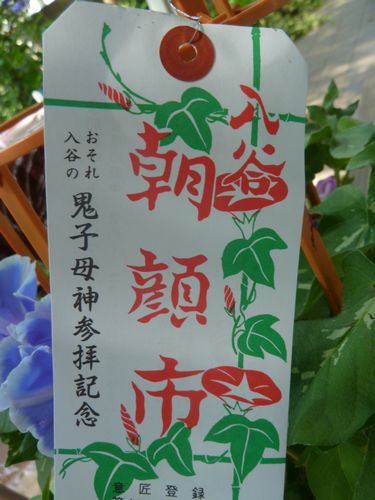 イメージ 8