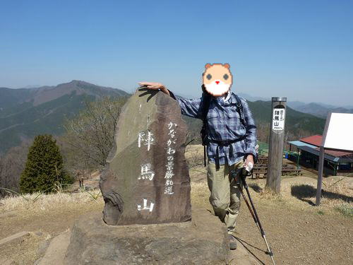 イメージ 8