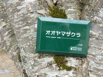 イメージ 14