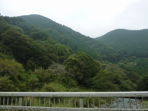 https://livedoor.blogimg.jp/yamane2019/imgs/0/c/0c8f71e1.jpg