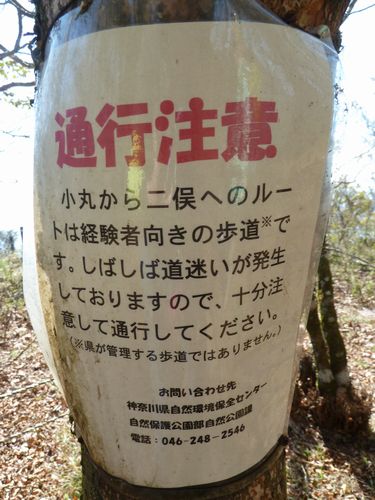 イメージ 10