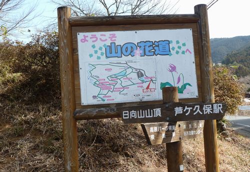 イメージ 7