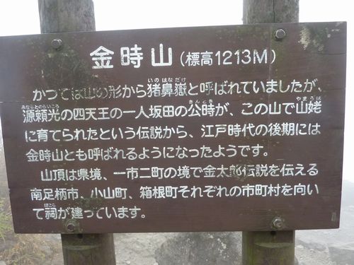 イメージ 12