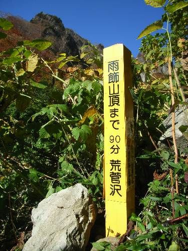 https://livedoor.blogimg.jp/yamane2019/imgs/1/1/11efd53a.jpg