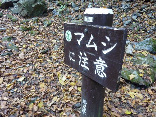 イメージ 8