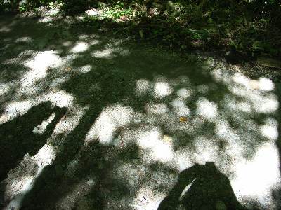 https://livedoor.blogimg.jp/yamane2019/imgs/1/d/1d87bf74.jpg
