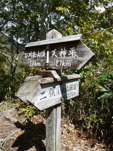 イメージ 6