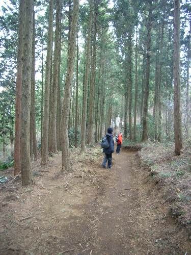 https://livedoor.blogimg.jp/yamane2019/imgs/2/2/2232f924.jpg