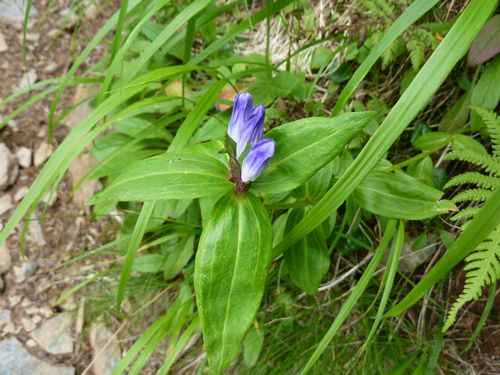 https://livedoor.blogimg.jp/yamane2019/imgs/2/3/23590948.jpg