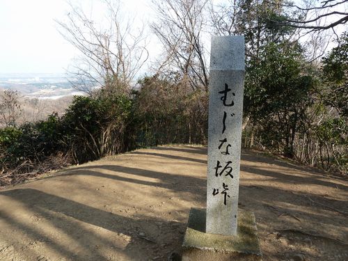 イメージ 14