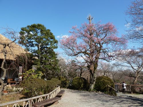 イメージ 14