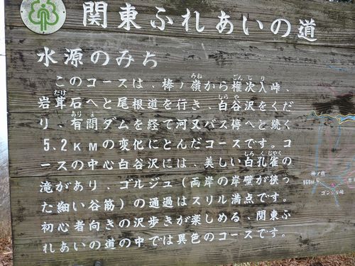 イメージ 15