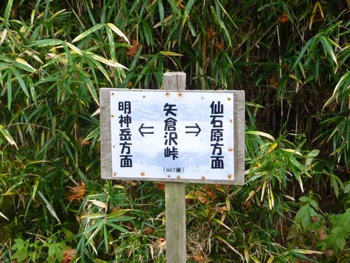 イメージ 15