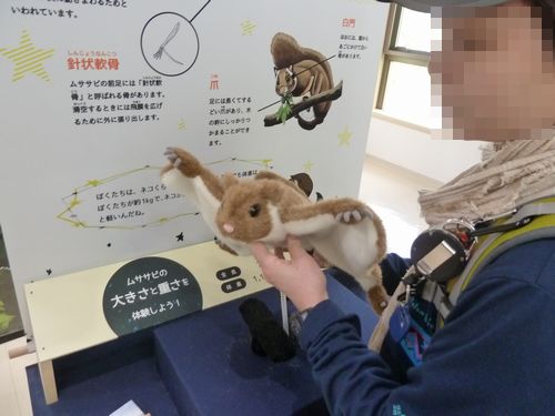 イメージ 16