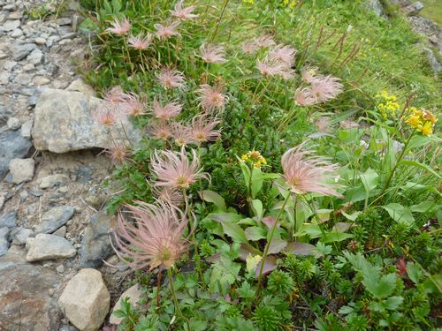https://livedoor.blogimg.jp/yamane2019/imgs/3/6/36bce516.jpg