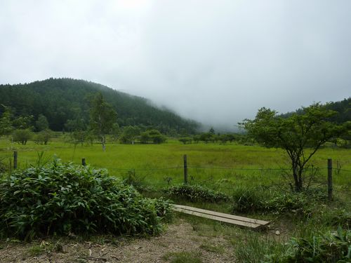 https://livedoor.blogimg.jp/yamane2019/imgs/3/7/37542c9a.jpg