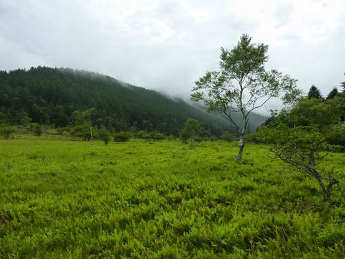 https://livedoor.blogimg.jp/yamane2019/imgs/3/7/37ce30db.jpg