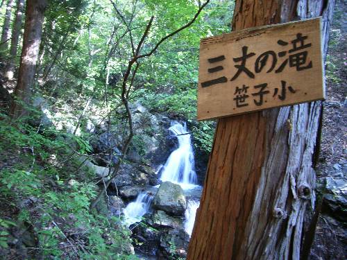 https://livedoor.blogimg.jp/yamane2019/imgs/3/a/3a18e985.jpg