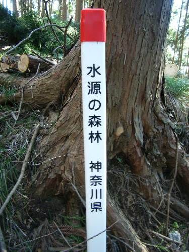 https://livedoor.blogimg.jp/yamane2019/imgs/3/a/3a951c7a.jpg