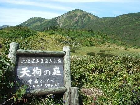 https://livedoor.blogimg.jp/yamane2019/imgs/3/a/3adbdd2d.jpg