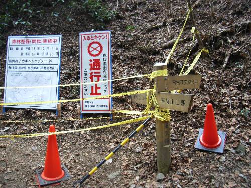 https://livedoor.blogimg.jp/yamane2019/imgs/3/c/3c4667d7.jpg