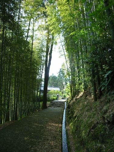 https://livedoor.blogimg.jp/yamane2019/imgs/4/0/409bf3bb.jpg