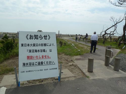イメージ 8