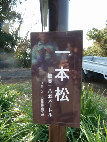 イメージ 18