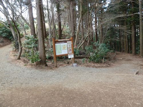 イメージ 19