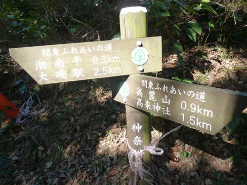 イメージ 16