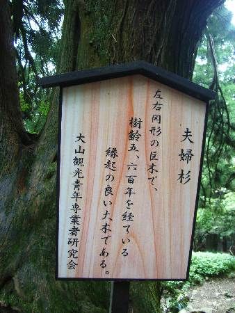 イメージ 8