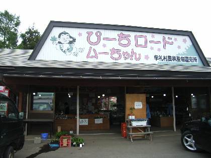 イメージ 1