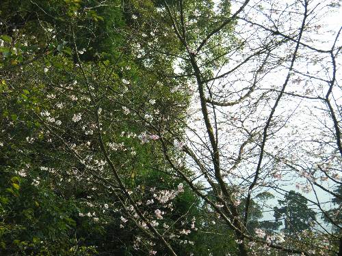 https://livedoor.blogimg.jp/yamane2019/imgs/5/3/53256979.jpg