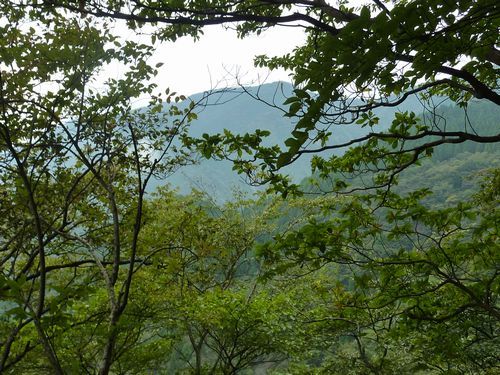 https://livedoor.blogimg.jp/yamane2019/imgs/5/7/579296e9.jpg