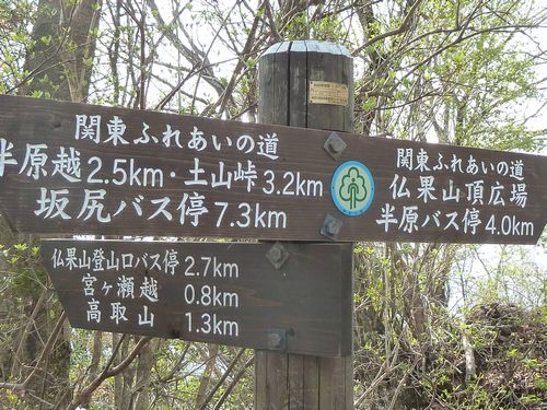 イメージ 15