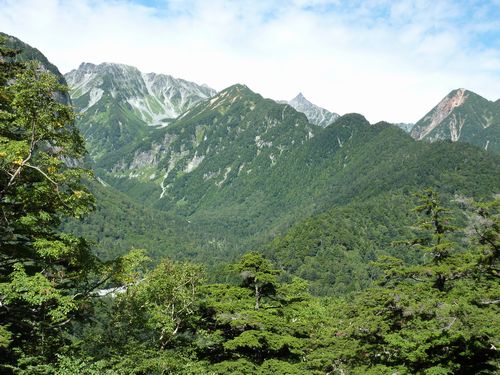 https://livedoor.blogimg.jp/yamane2019/imgs/5/a/5af70b30.jpg