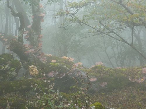 https://livedoor.blogimg.jp/yamane2019/imgs/5/d/5d1b766e.jpg