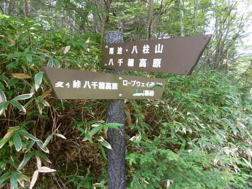 イメージ 10