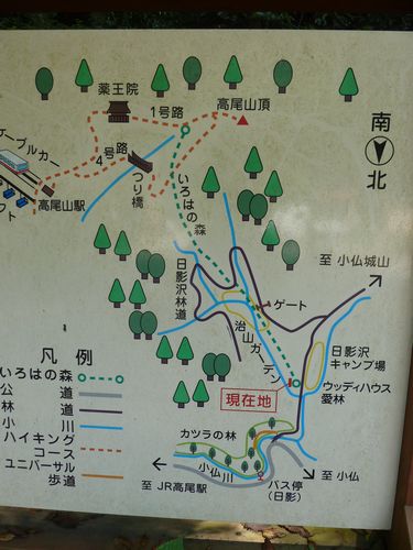 イメージ 22
