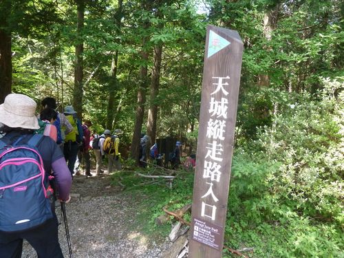 イメージ 12