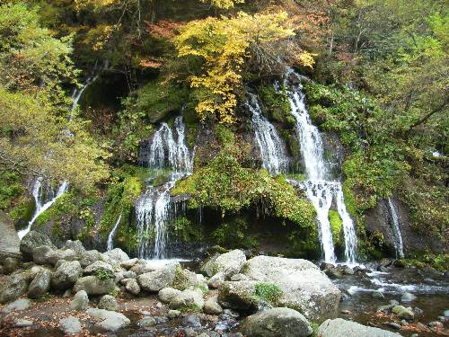 https://livedoor.blogimg.jp/yamane2019/imgs/6/3/639ce288.jpg